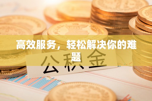 嵩明高效服务，轻松解决你的难题