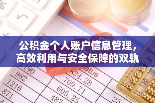 嵩明公积金个人账户信息管理，高效利用与安全保障的双轨并行