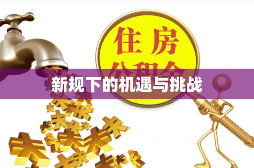 嵩明新规下的机遇与挑战