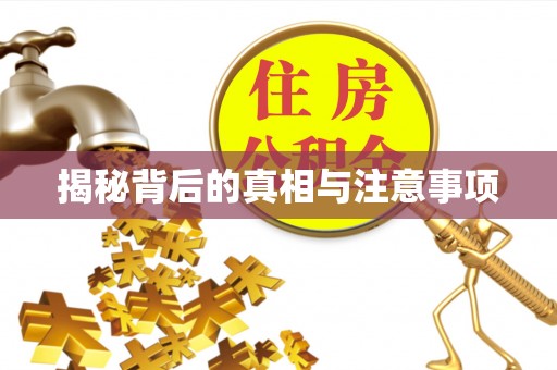 嵩明揭秘背后的真相与注意事项