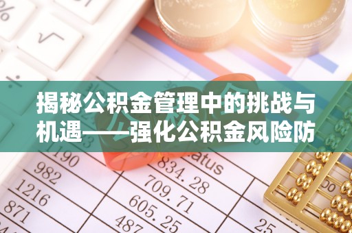 嵩明揭秘公积金管理中的挑战与机遇——强化公积金风险防控的多维策略