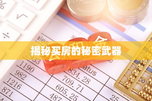 嵩明揭秘买房的秘密武器