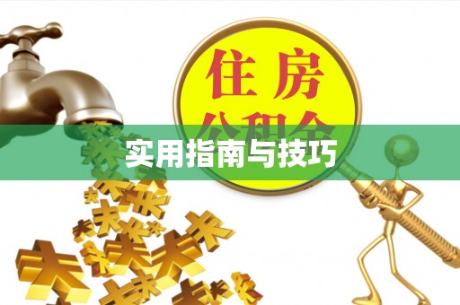 嵩明实用指南与技巧