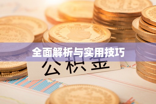 嵩明全面解析与实用技巧