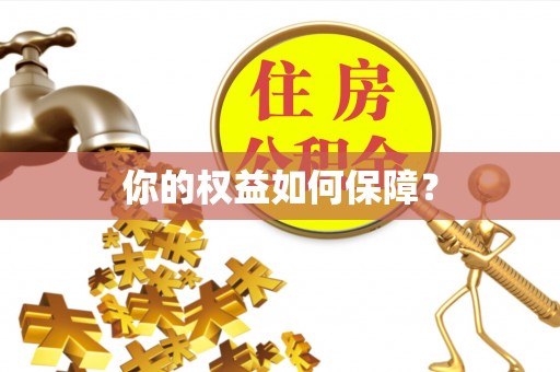 嵩明你的权益如何保障？