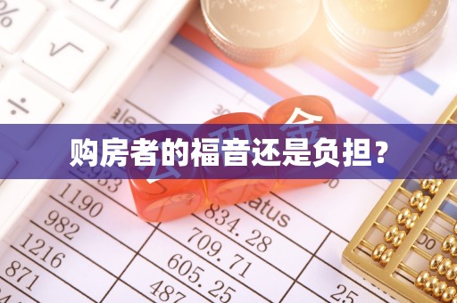 嵩明购房者的福音还是负担？
