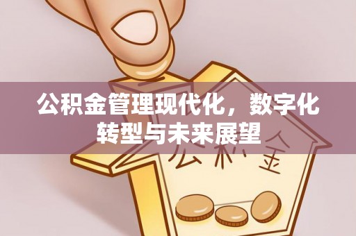 嵩明公积金管理现代化，数字化转型与未来展望