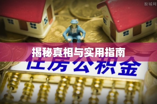 嵩明揭秘真相与实用指南