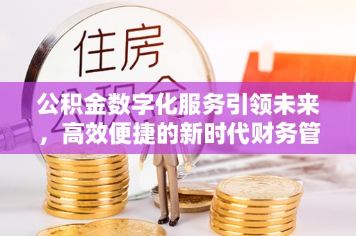嵩明公积金数字化服务引领未来，高效便捷的新时代财务管理