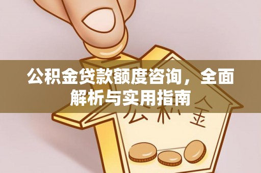 嵩明公积金贷款额度咨询，全面解析与实用指南