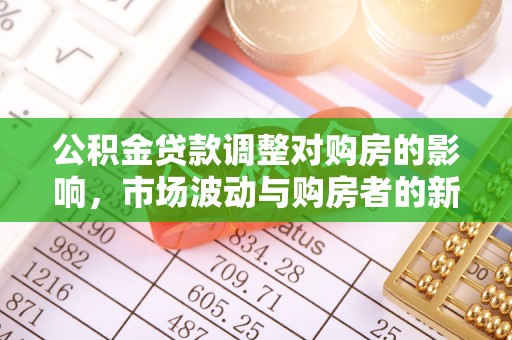 嵩明公积金贷款调整对购房的影响，市场波动与购房者的新选择