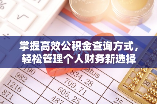 嵩明掌握高效公积金查询方式，轻松管理个人财务新选择