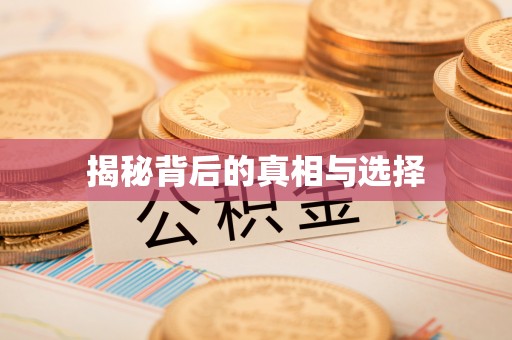 嵩明揭秘背后的真相与选择