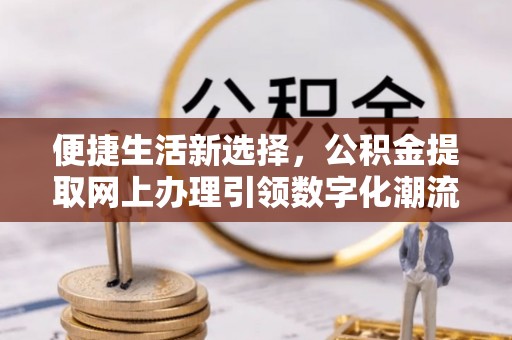 嵩明便捷生活新选择，公积金提取网上办理引领数字化潮流