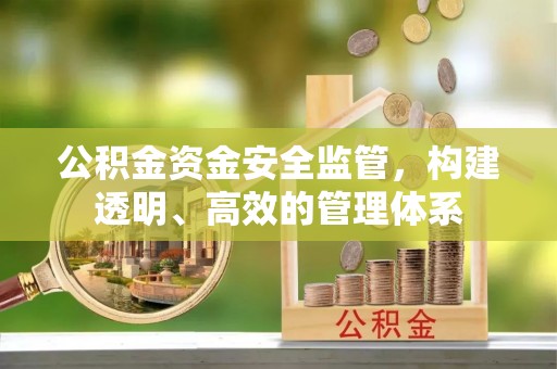 嵩明公积金资金安全监管，构建透明、高效的管理体系