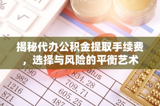 嵩明揭秘代办公积金提取手续费，选择与风险的平衡艺术