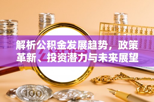 嵩明解析公积金发展趋势，政策革新、投资潜力与未来展望