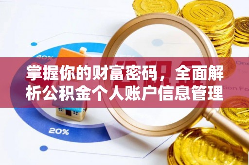 嵩明掌握你的财富密码，全面解析公积金个人账户信息管理与优化
