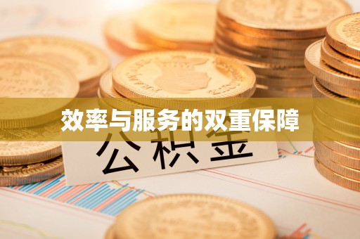 嵩明效率与服务的双重保障