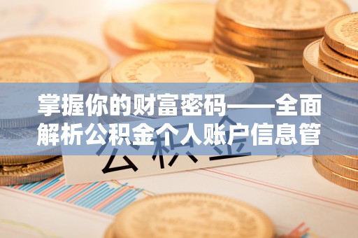 嵩明掌握你的财富密码——全面解析公积金个人账户信息管理与优化