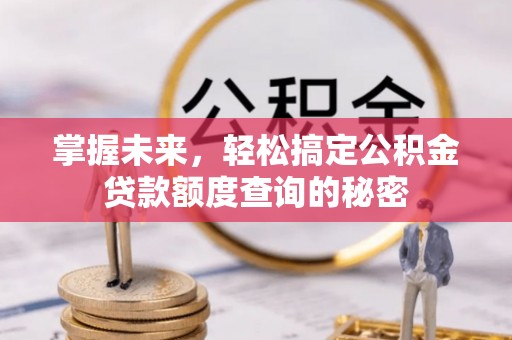 嵩明掌握未来，轻松搞定公积金贷款额度查询的秘密
