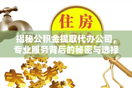 嵩明揭秘公积金提取代办公司，专业服务背后的秘密与选择指南