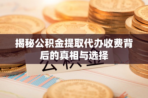 嵩明揭秘公积金提取代办收费背后的真相与选择