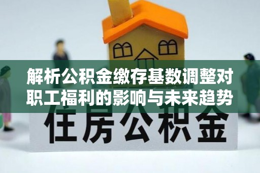 嵩明解析公积金缴存基数调整对职工福利的影响与未来趋势