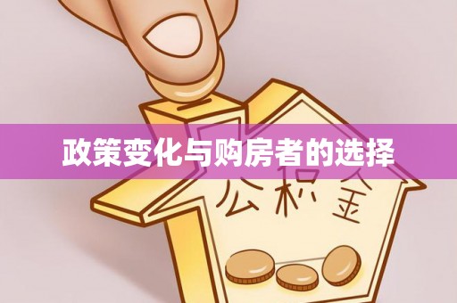 嵩明政策变化与购房者的选择