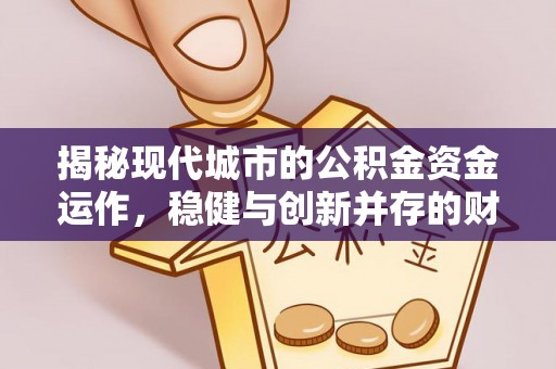 嵩明揭秘现代城市的公积金资金运作，稳健与创新并存的财富管理之道