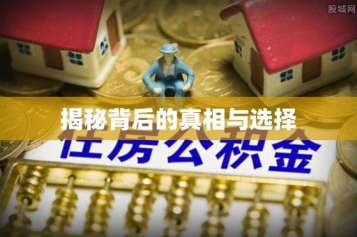 嵩明揭秘背后的真相与选择