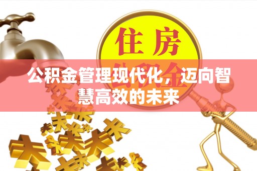 嵩明公积金管理现代化，迈向智慧高效的未来