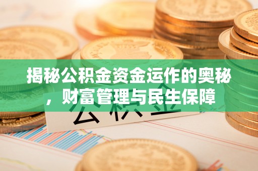 嵩明揭秘公积金资金运作的奥秘，财富管理与民生保障