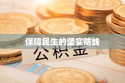 嵩明保障民生的坚实防线