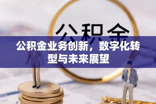 嵩明公积金业务创新，数字化转型与未来展望