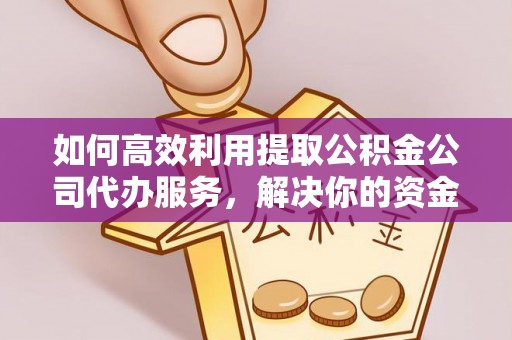 嵩明如何高效利用提取公积金公司代办服务，解决你的资金难题