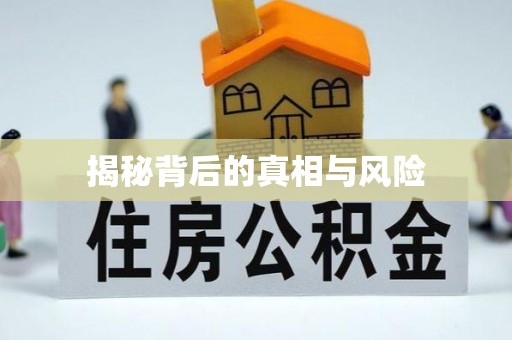 嵩明揭秘背后的真相与风险