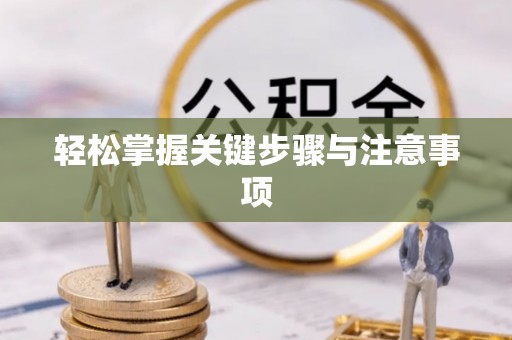 嵩明轻松掌握关键步骤与注意事项