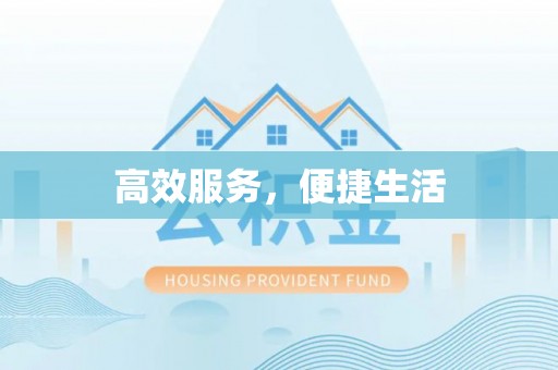 嵩明高效服务，便捷生活