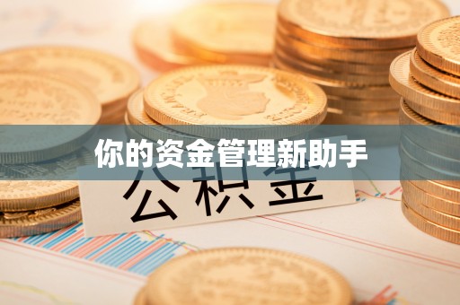 嵩明你的资金管理新助手