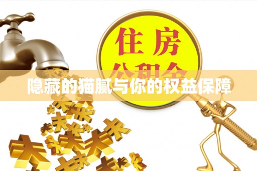 嵩明隐藏的猫腻与你的权益保障