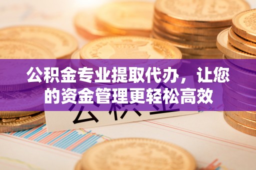 嵩明公积金专业提取代办，让您的资金管理更轻松高效
