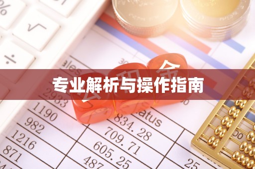 嵩明专业解析与操作指南