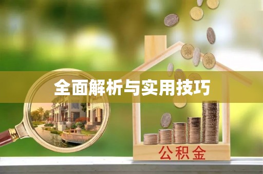嵩明全面解析与实用技巧