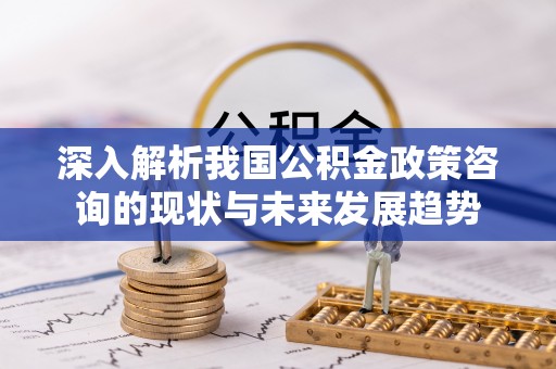 嵩明深入解析我国公积金政策咨询的现状与未来发展趋势