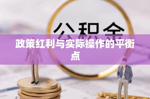 嵩明政策红利与实际操作的平衡点