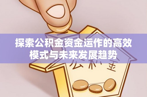 嵩明探索公积金资金运作的高效模式与未来发展趋势