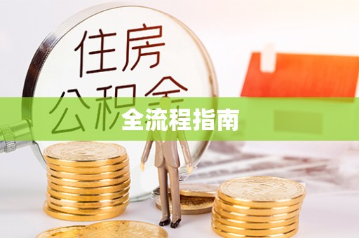 嵩明全流程指南