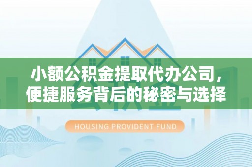 嵩明小额公积金提取代办公司，便捷服务背后的秘密与选择指南