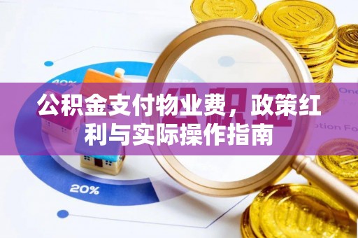 嵩明公积金支付物业费，政策红利与实际操作指南